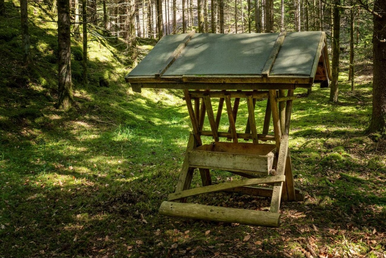 Viltvård – hjärtat i vår verksamhet